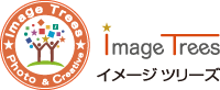 イメージ ツリーズ