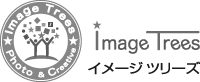 イメージ ツリーズ